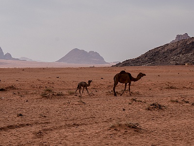 Israel Jordanien -180